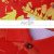 Áo thun cổ trụ – pha màu đỏ 1