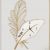 Đồng hồ treo tường – Hình lông vũ in logo