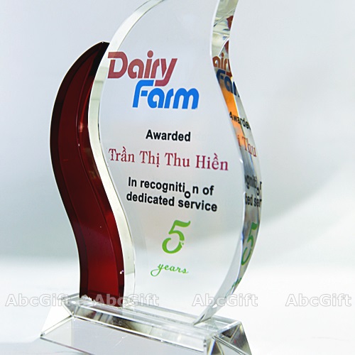 Kỷ Niệm Chương Cổ Đông
