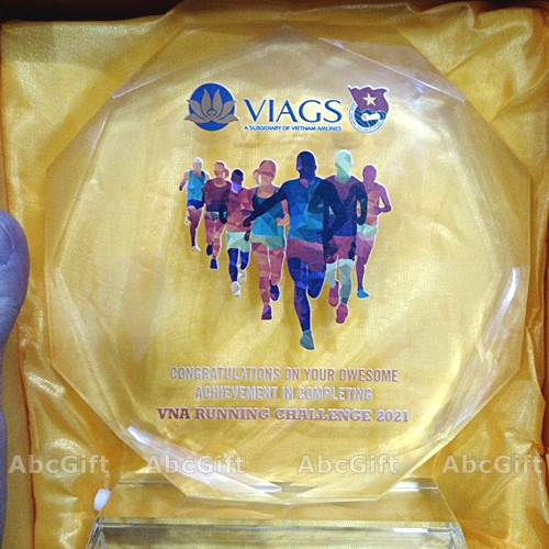 Kỷ niệm chương pha lê Công ty VIAGS