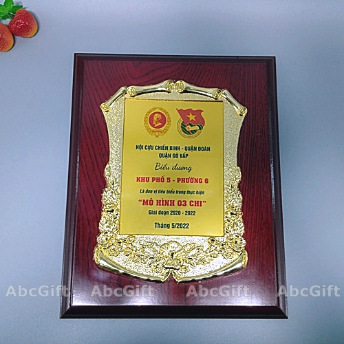 Quà tặng đại hội Đoàn TNCS Hồ Chí Minh Hội cựu chiến binh – Kỷ niệm chương in logo Đoàn